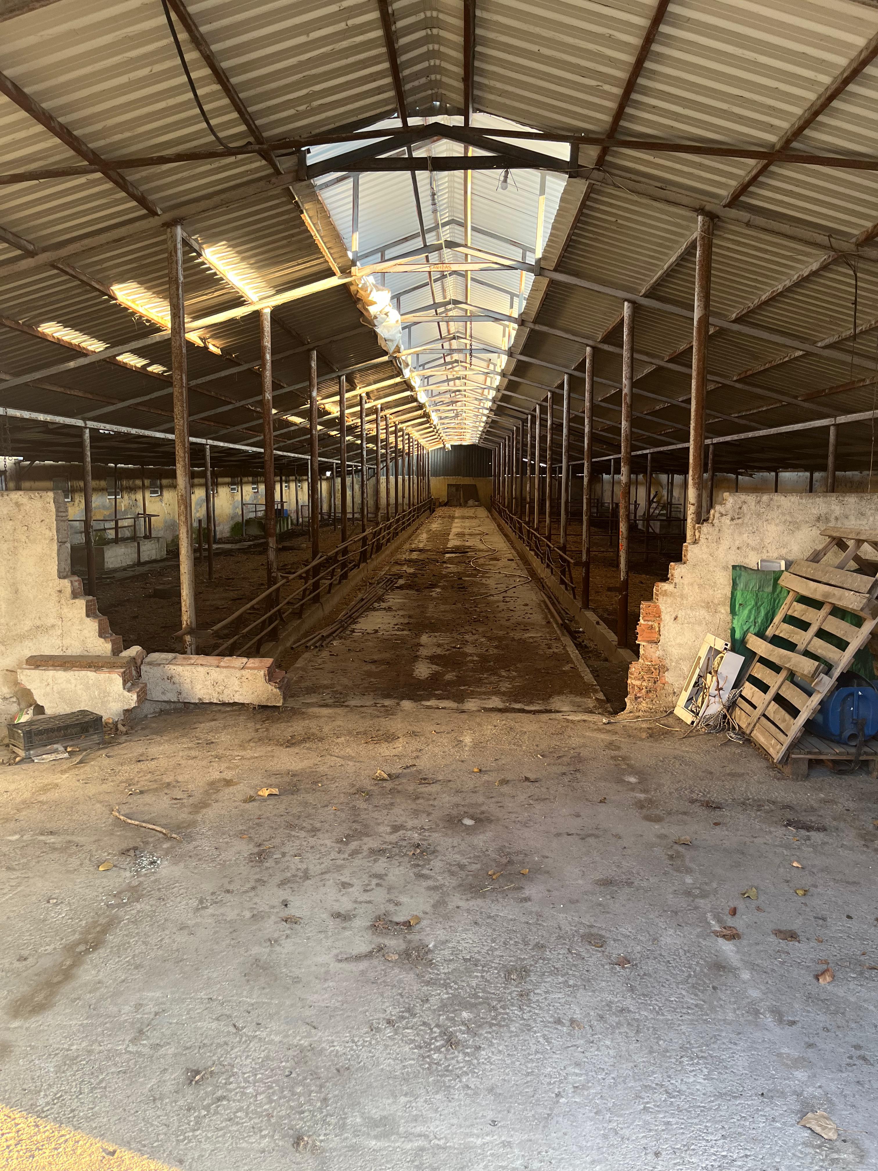 MABEL'DEN KURULU DÜZEN BESİ ÇİFTLİĞİ